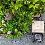 Adriana Hotel Pietra Ligure
