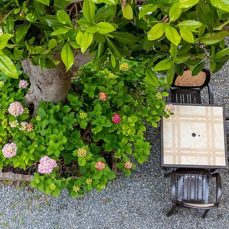 Adriana Hotel Pietra Ligure